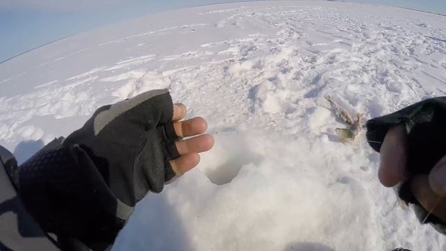 ВОТ ЭТО КЛЁВ! ПОЛНЫЕ САНИ РЫБЫ! Плотва зимой на безмотылку! Удачная рыбалка! смотреть онлайн