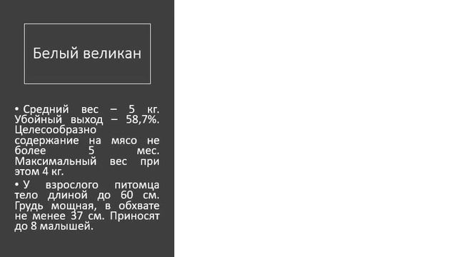КАУЮ ПОРОДУ КРОЛИКОВ ВЫБРАТЬ ДЛЯ МЯСА ? СМОТРИТЕ. ПОДПИСЫВАЙТЕСЬ. МЯСНЫЕ ПОРОДЫ КРОЛЕЙ С ФОТО смотреть онлайн