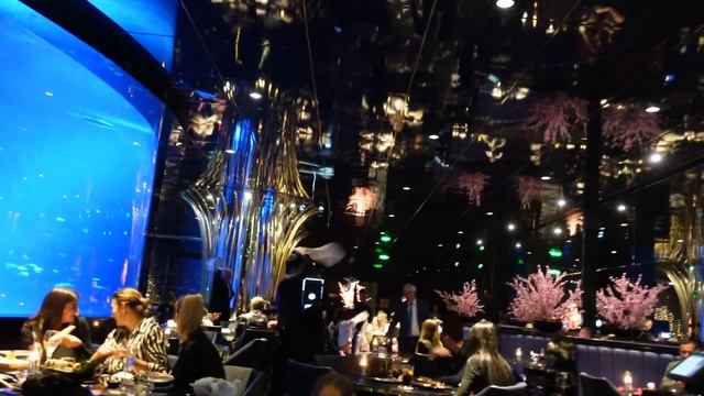 **BLINDED** by lights at Land of Legends ??... Food at Nemo Restaurant ?? смотреть онлайн