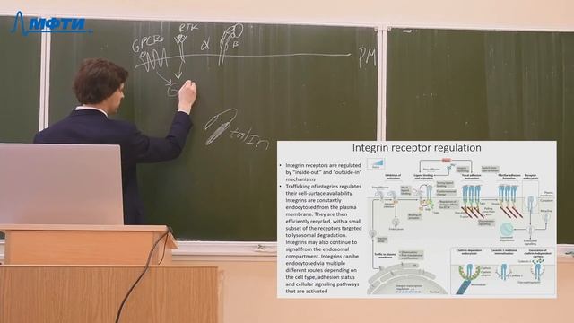 Механизмы клеточной рецепции, Дурыманов. М. О. 26.03.2021г. смотреть онлайн