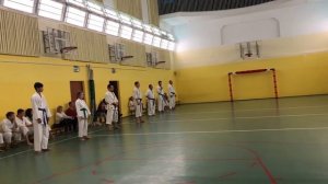 Каратэ Коричневый Пояс