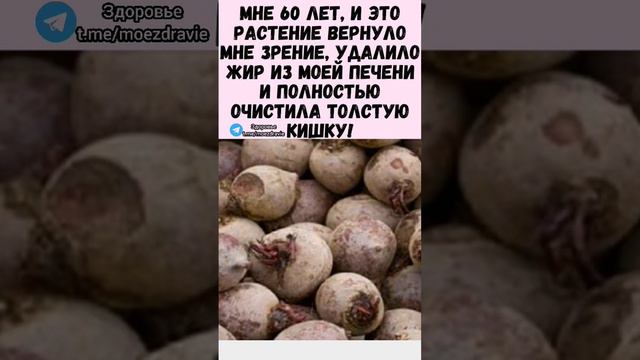 мне 60 лет, это растение восстановило моё здоровье #народнаямедицина #здоровье #медицина смотреть онлайн
