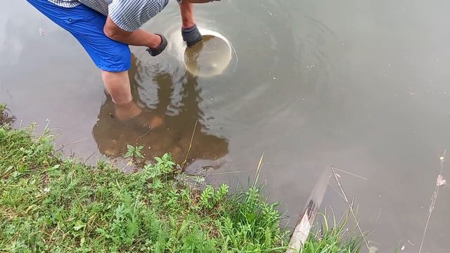 ПЕРЕСЕЛЕНИЕ ХИЩНЫХ НОЧНЫХ ОХОТНИКОВ ДЛЯ ОЗЕРА НЕ УДАЛОСЬ, СОБАКА БЕЛКА ТОЖЕ ЛЮБИТ ФОРЕЛЬ смотреть онлайн