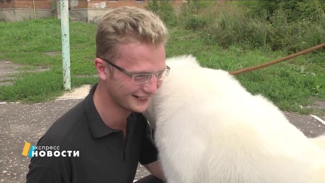 мастер класс юных хендлеров смотреть онлайн