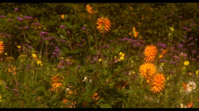 Chris Spheeris Allura смотреть онлайн