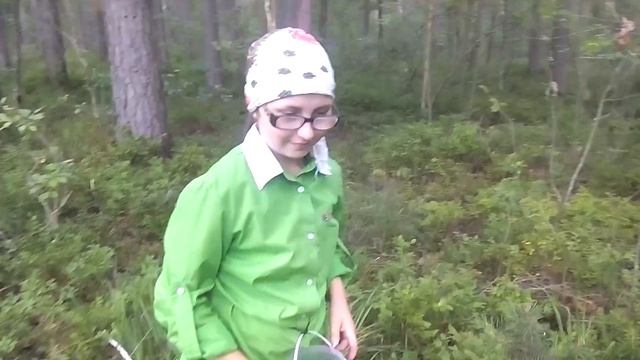 собираем чернику своими руками. смотреть онлайн