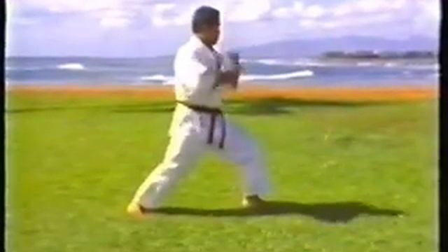 Funakoshi Kata 1 смотреть онлайн