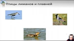Юный зоолог. Растительный и животный мир Кубани.