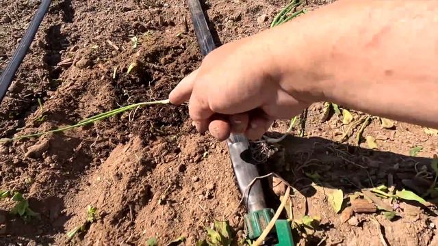 Setting Up A NEW Garden Space + Planting Onions & Potatoes! 🙌🧅🥔 // Garden Answer
