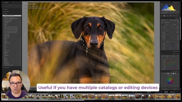 What Are XMP Files and Why Might They Be Useful? - Dog Photography Editing Tutorial смотреть онлайн