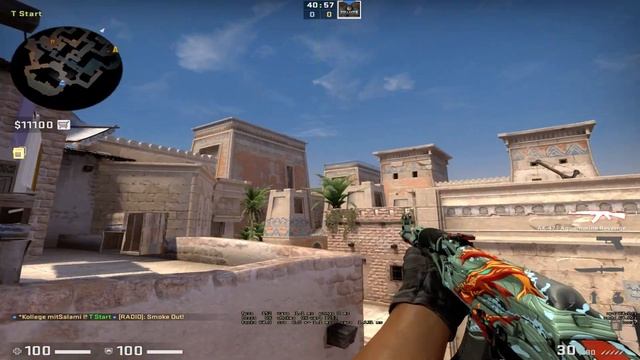 CSGO Anubis Smoke | T Spawn to Connector смотреть онлайн