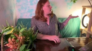 Редкое комнатное растение Аморфофаллус.Уход и особенности.