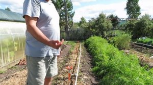 Система полива грядок