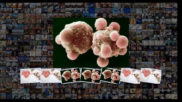 Ученые создали мини-прибор для контроля за сердечным ритмом космонавтов смотреть онлайн