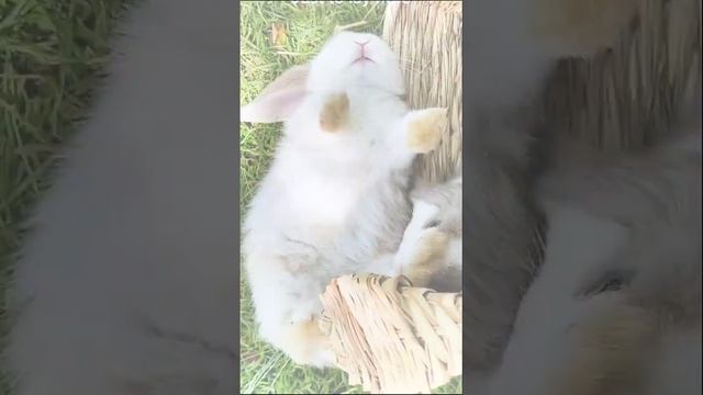 Nap time ?? смотреть онлайн