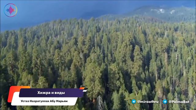 Хижра и его виды | Назратуллах Абу Марьям حفظه الله смотреть онлайн
