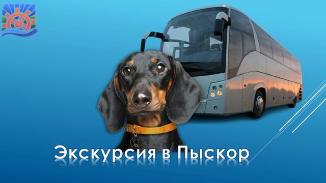 Сказки про таксу Чарли "Экскурсия в Пыскор" смотреть онлайн