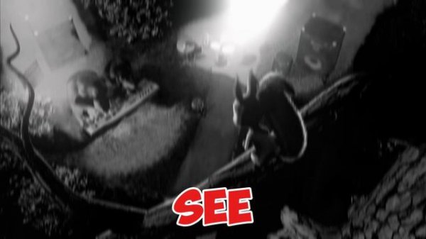 MASHOT STUDIO PRO ☠️☠️☠️