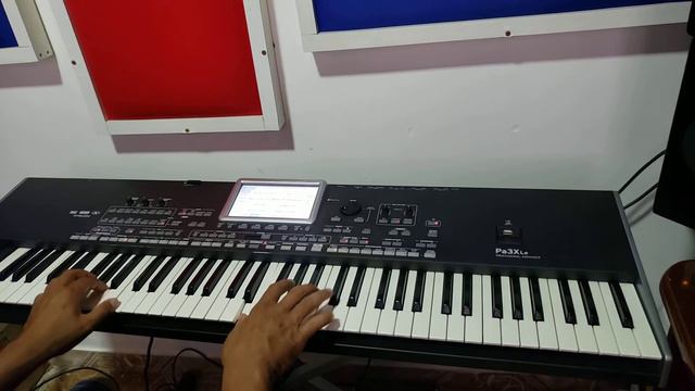 SOLO SAO JOAO KORG PA3XLE смотреть онлайн