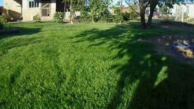 Газон своими руками 29.09.2018г. смотреть онлайн