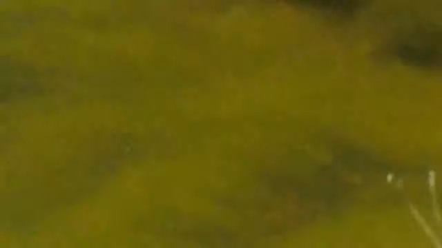 Очки для рыбалки смотреть онлайн