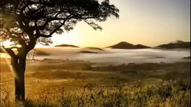 James Newton Howard - Solomon Vandy