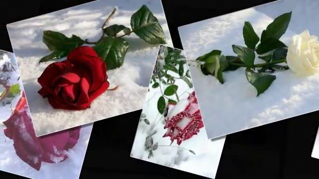 Снег. М.Мартынов-сл. Лосев А. смотреть онлайн