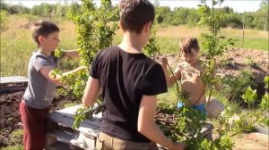 Гнездо для аистов