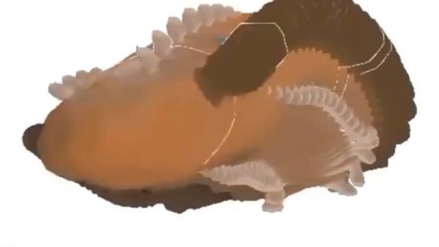 Platypus spin смотреть онлайн