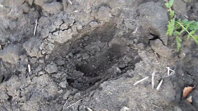 СЛЕД ОТ КОПЫТА ЛОСЯ смотреть онлайн