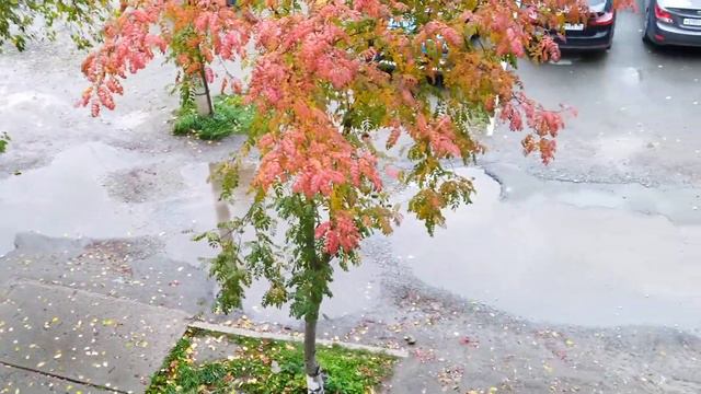 Как обычно никому ничего не нужно. смотреть онлайн