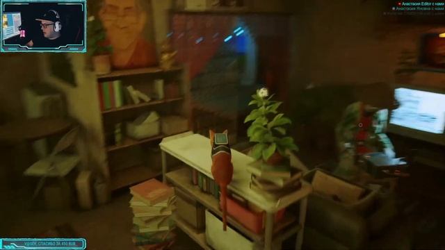 #1 Stray / Потерявшийся котик смотреть онлайн