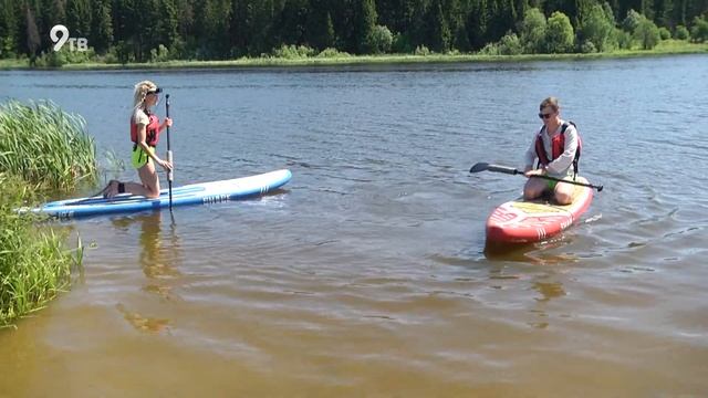 Спортивные Игры