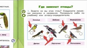Окружающий мир. Рабочая тетрадь 1 класс 2 часть. ГДЗ стр. 12 №1