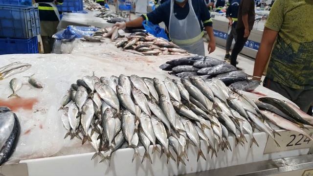 New Deira Fish Market In Dubai