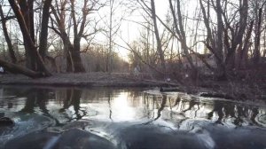 д. Горбунки (Ленинградская область)