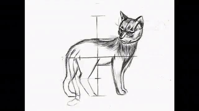Кот Как нарисовать поэтапно Кота  Рисование карандашом поэтапно #howtodraw Step By Step Drawing