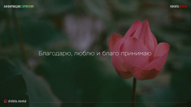 Сильная практика аффирмаций на каждый день 2021 смотреть онлайн