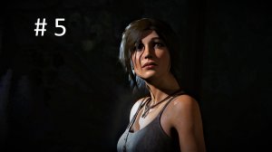 Rise of the Tomb Raider игрофильм