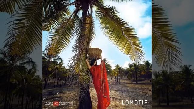 Джая Актриса-Танцовщица, Педагог-Хореограф Индийский Храмовый Танец смотреть онлайн