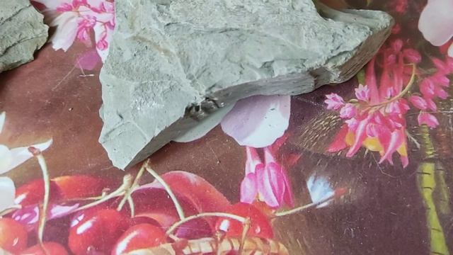 Глина Голубой залив/Blue Bay Clay смотреть онлайн