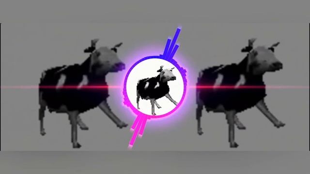 Польская корова танцует под польскую музыку смотреть онлайн