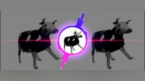 Польская корова танцует под польскую музыку