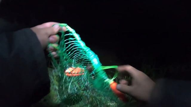 ЛесоПовал!!!Ночевка!!!Рыбалка!!!лОсЬ!!! смотреть онлайн