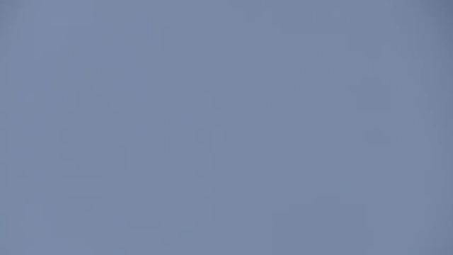 Первый выход на улицу и первые полеты голубей на голубедроме    20 02 22 г