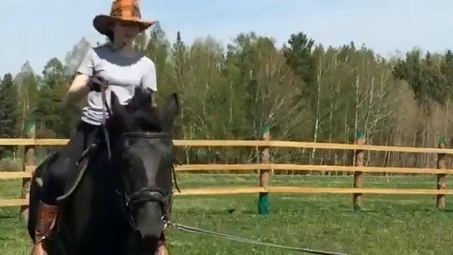 Ферма с козами в Экопарке "Отрадное" смотреть онлайн