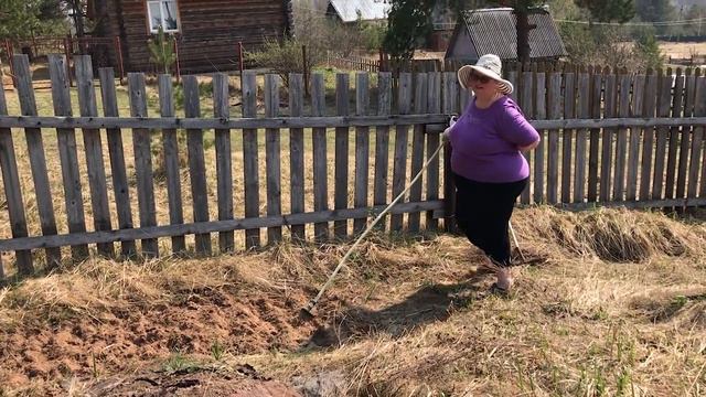 Павлин смотреть онлайн