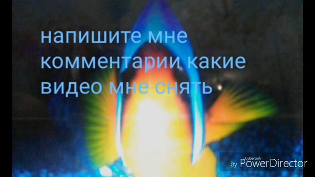 Напишите мне комментарии , какие видио ви хотелиб увидеть