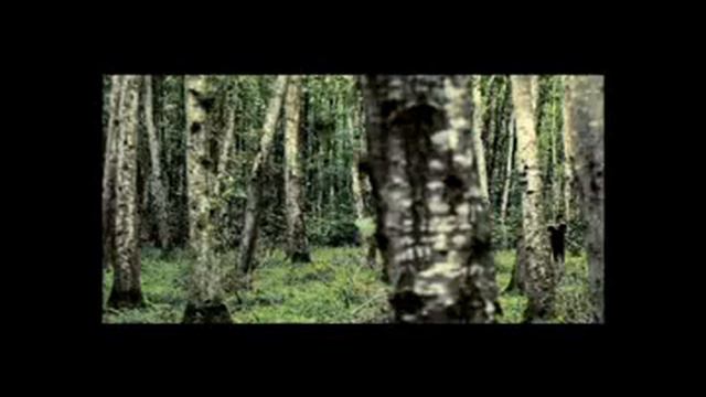 Davood Arikeh - Love Story.flv смотреть онлайн