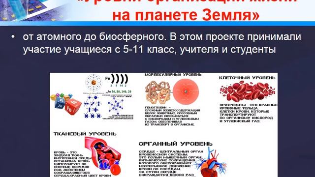 Публичная презентация Краснопёрова О В КГАНОУ КЦО смотреть онлайн